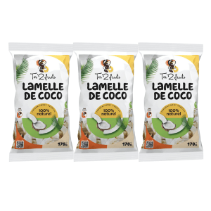 Lot de 3 paquets de lamelles de coco, 100% naturelles, 3 x 100g - FRUITS SAJE